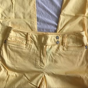 New Directions Yellow Petite Straight Leg Pants